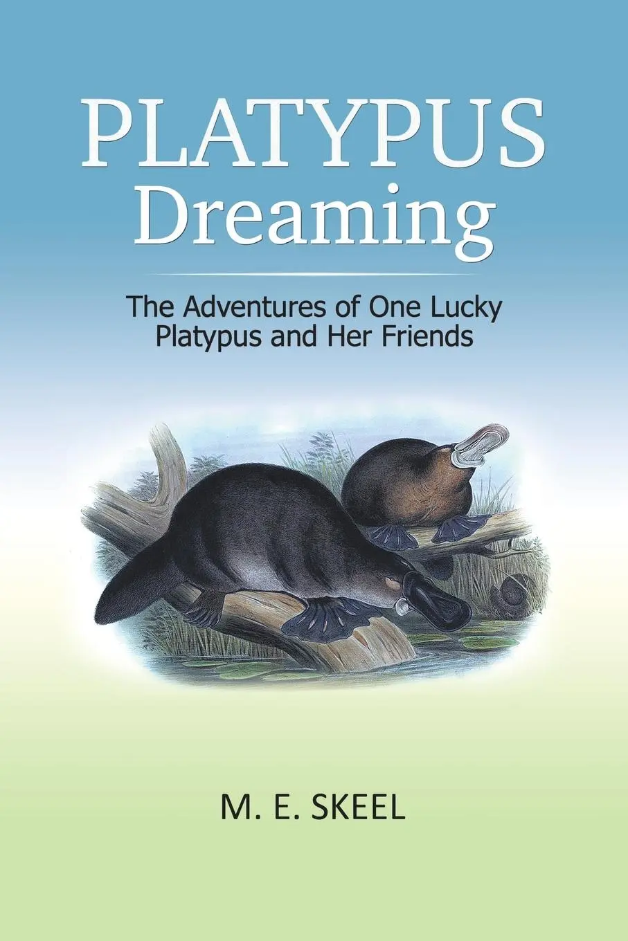 Cover: 9781796004564 | Platypus Dreaming | M. E. Skeel | Taschenbuch | Englisch | 2019