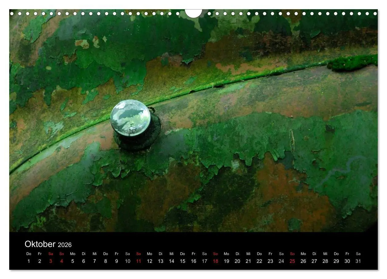 Bild: 9783516174564 | ROSTLAUBEN Die schönsten Autowracks (Wandkalender 2026 DIN A3...