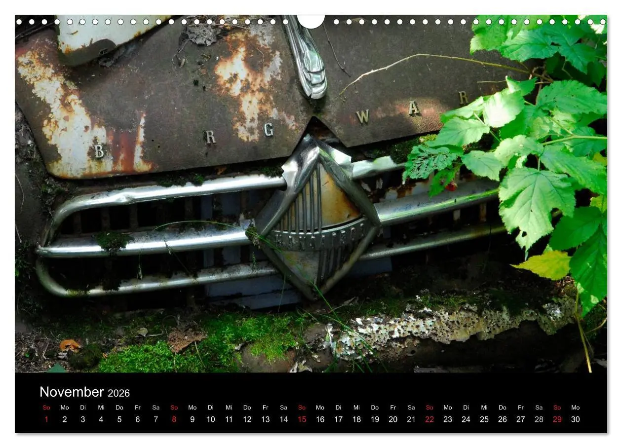 Bild: 9783516174564 | ROSTLAUBEN Die schönsten Autowracks (Wandkalender 2026 DIN A3...