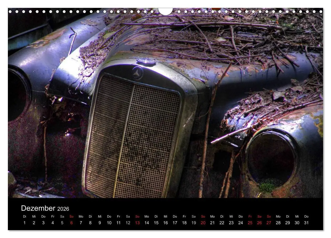 Bild: 9783516174564 | ROSTLAUBEN Die schönsten Autowracks (Wandkalender 2026 DIN A3...
