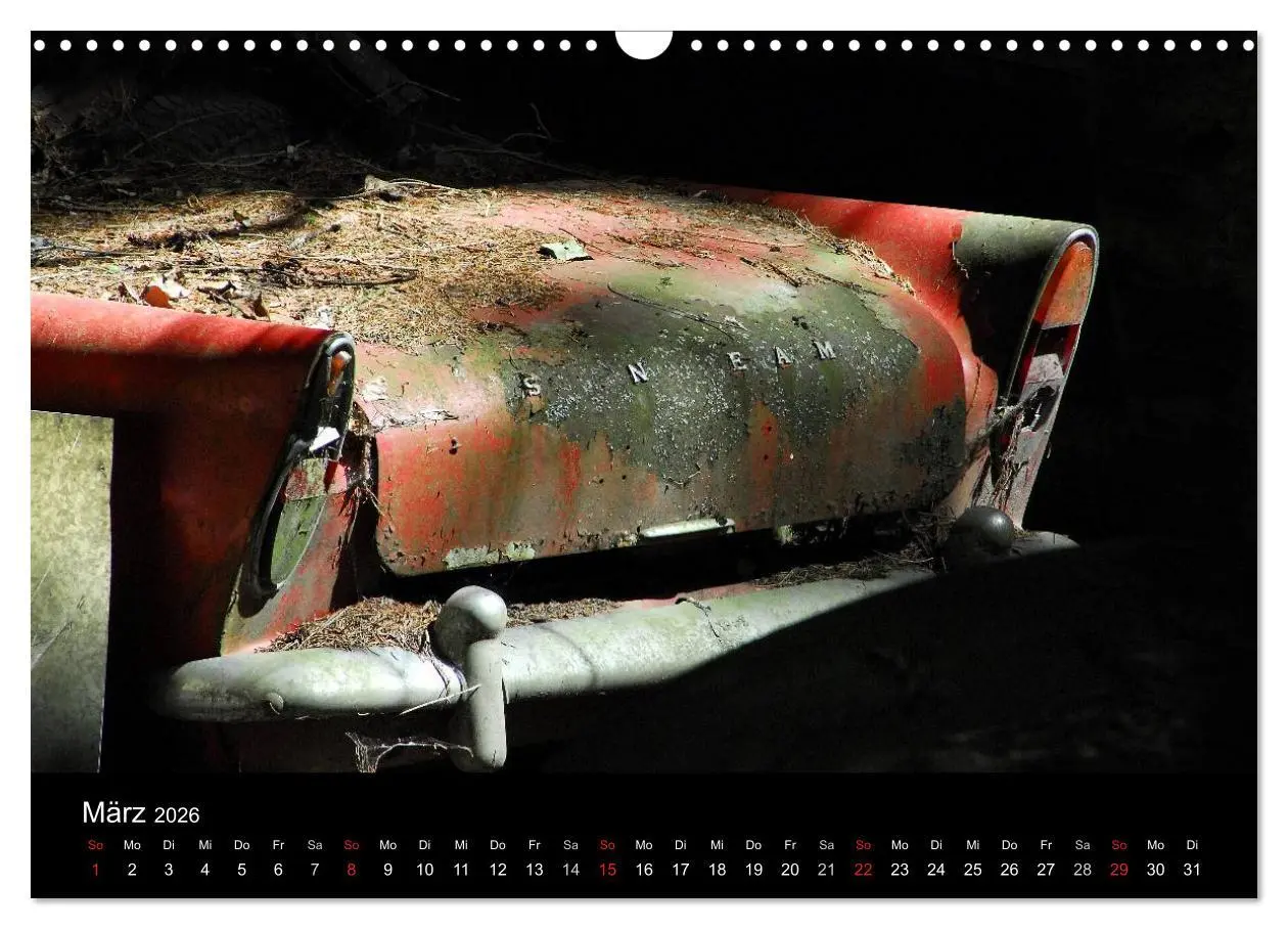 Bild: 9783516174564 | ROSTLAUBEN Die schönsten Autowracks (Wandkalender 2026 DIN A3...
