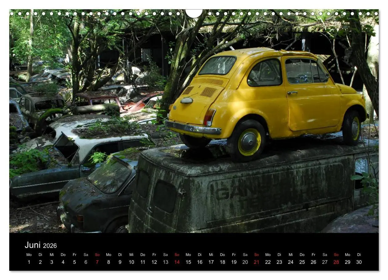 Bild: 9783516174564 | ROSTLAUBEN Die schönsten Autowracks (Wandkalender 2026 DIN A3...
