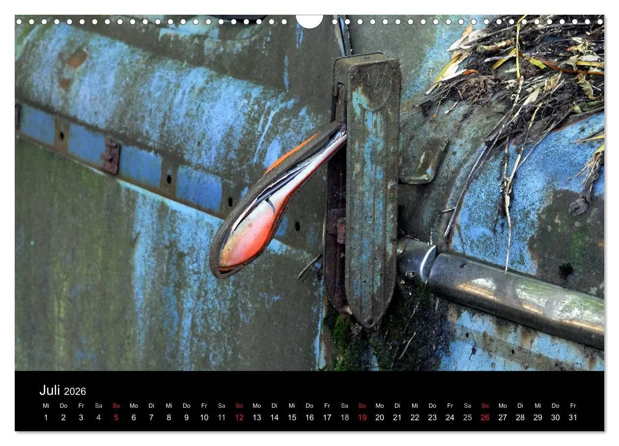 Bild: 9783516174564 | ROSTLAUBEN Die schönsten Autowracks (Wandkalender 2026 DIN A3...