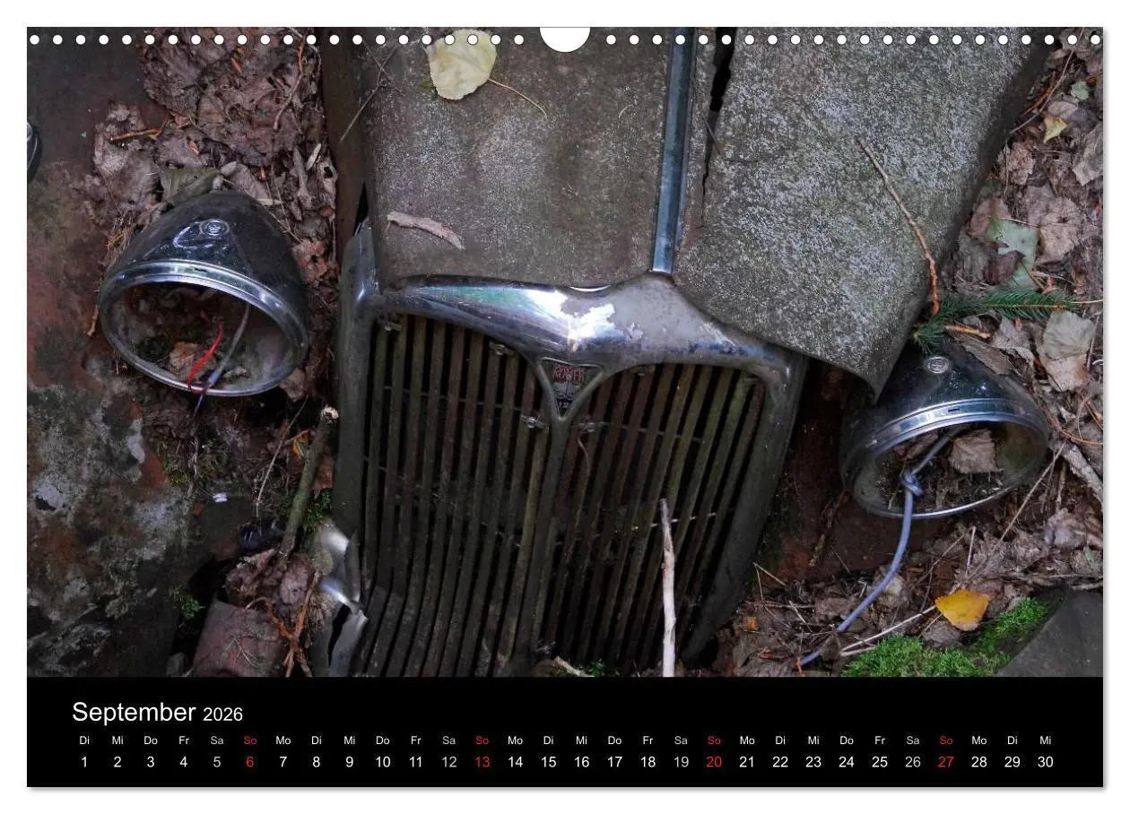 Bild: 9783516174564 | ROSTLAUBEN Die schönsten Autowracks (Wandkalender 2026 DIN A3...