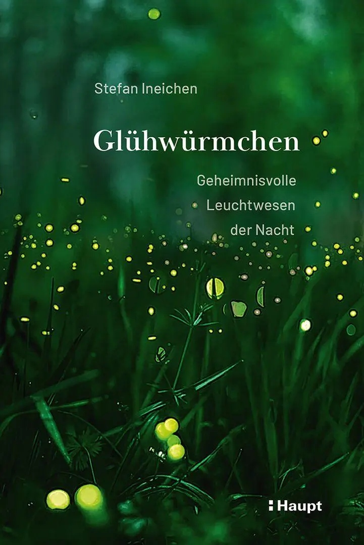 Cover: 9783258084664 | Glühwürmchen | Geheimnisvolle Leuchtwesen der Nacht | Stefan Ineichen