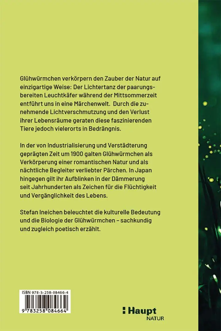 Bild: 9783258084664 | Glühwürmchen | Geheimnisvolle Leuchtwesen der Nacht | Stefan Ineichen