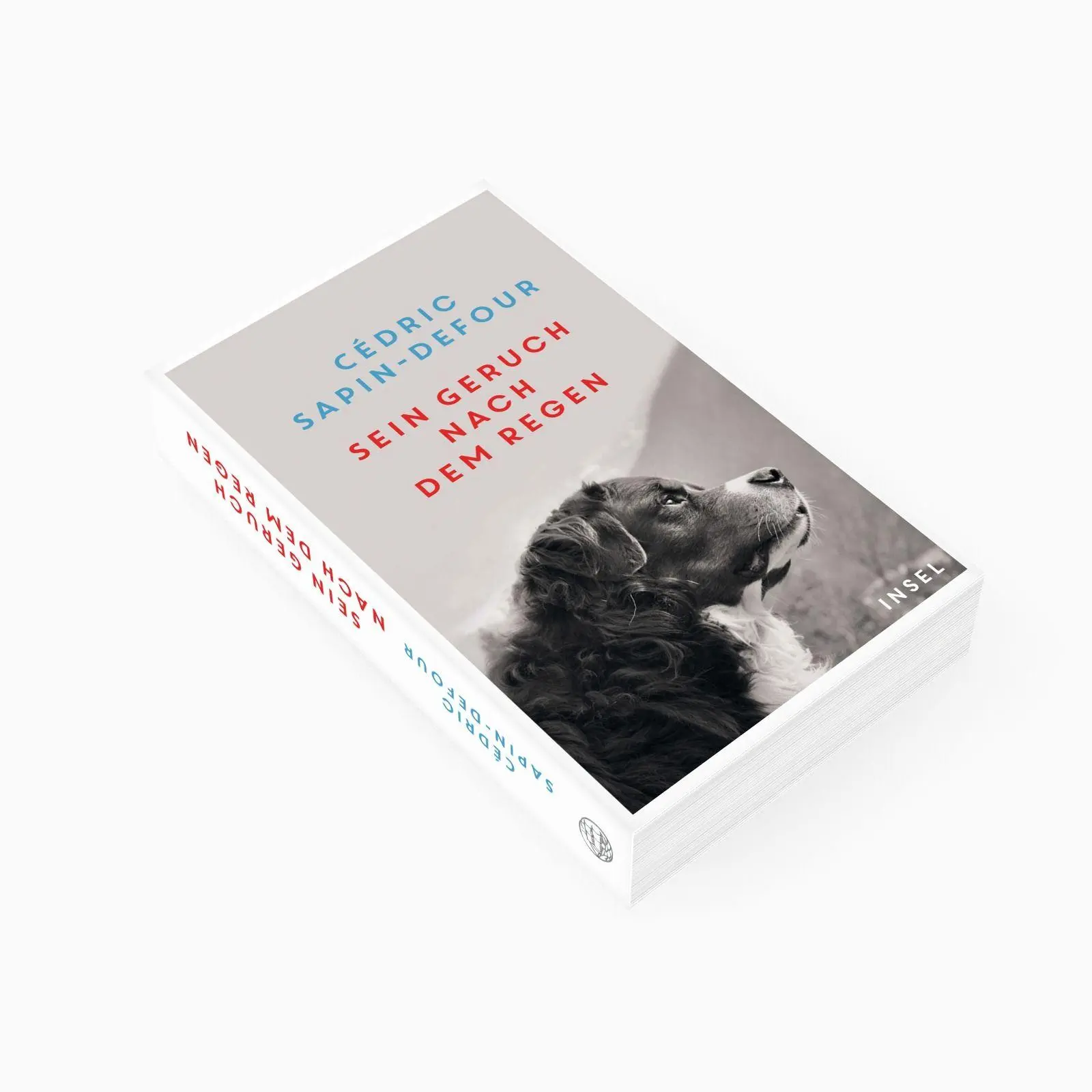 Bild: 9783458684664 | Sein Geruch nach dem Regen | Cédric Sapin-Defour | Taschenbuch | 2026