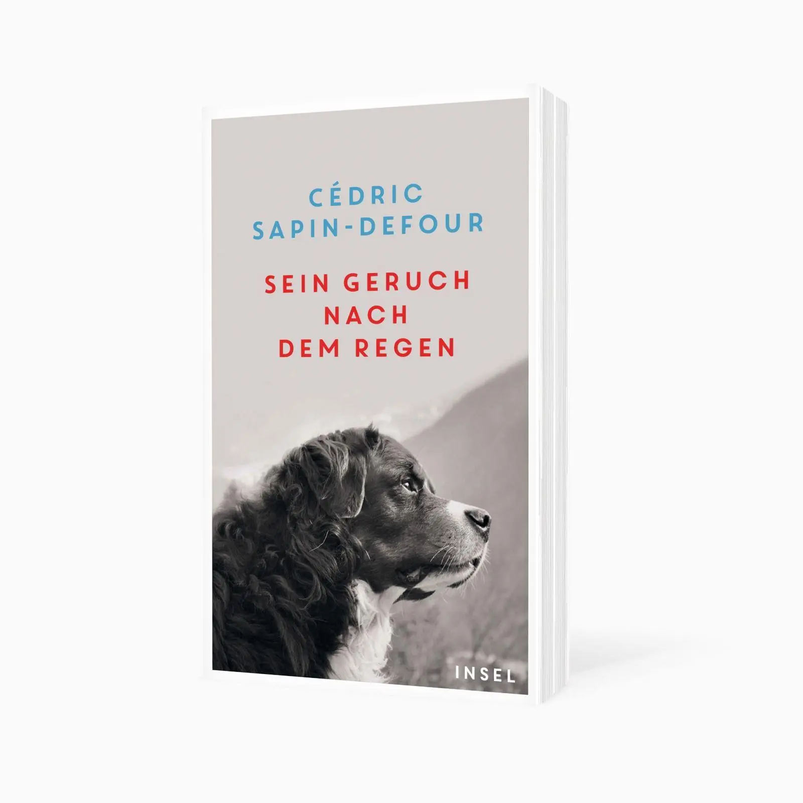 Bild: 9783458684664 | Sein Geruch nach dem Regen | Cédric Sapin-Defour | Taschenbuch | 2026