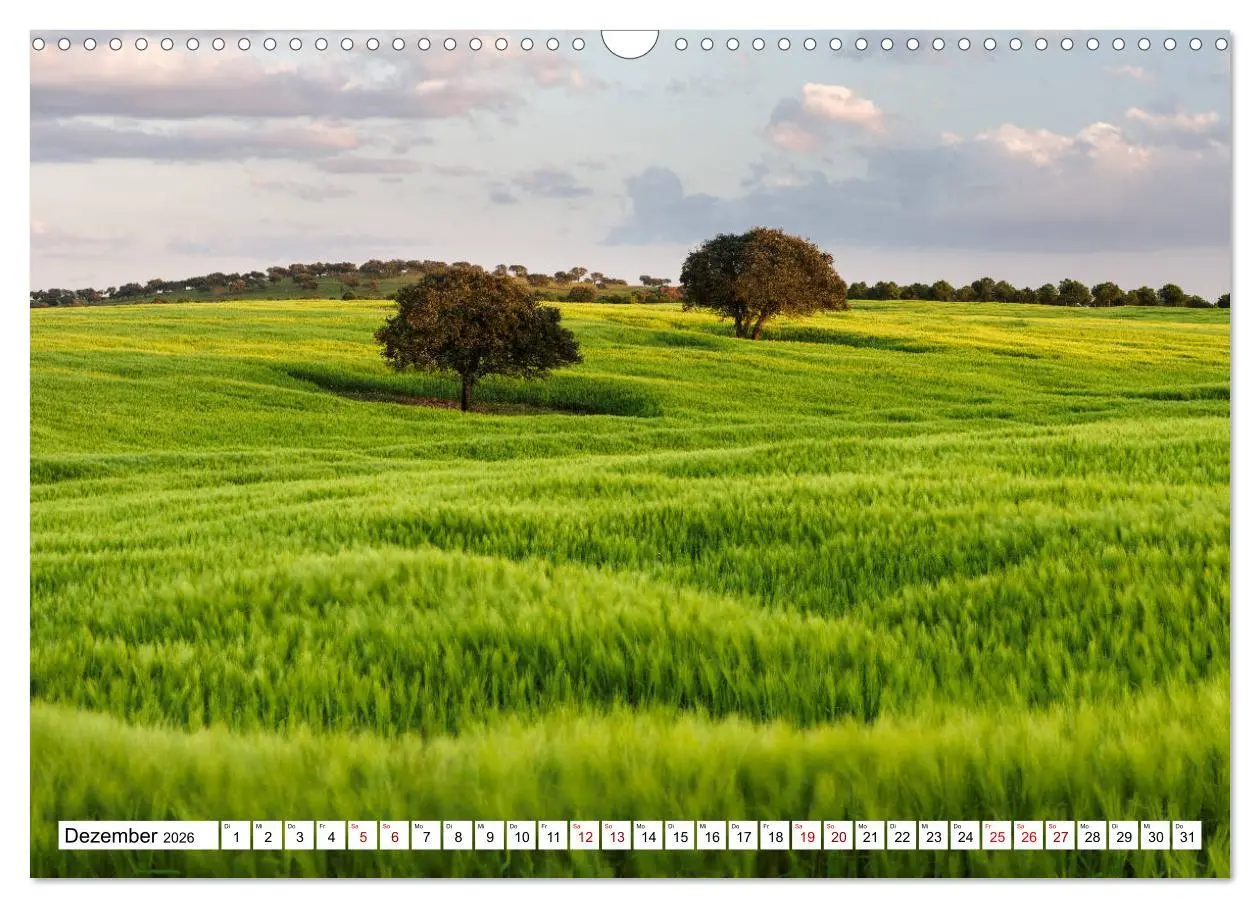 Bild: 9783457684764 | Alentejo - das romantische Portugal (Wandkalender 2026 DIN A3...