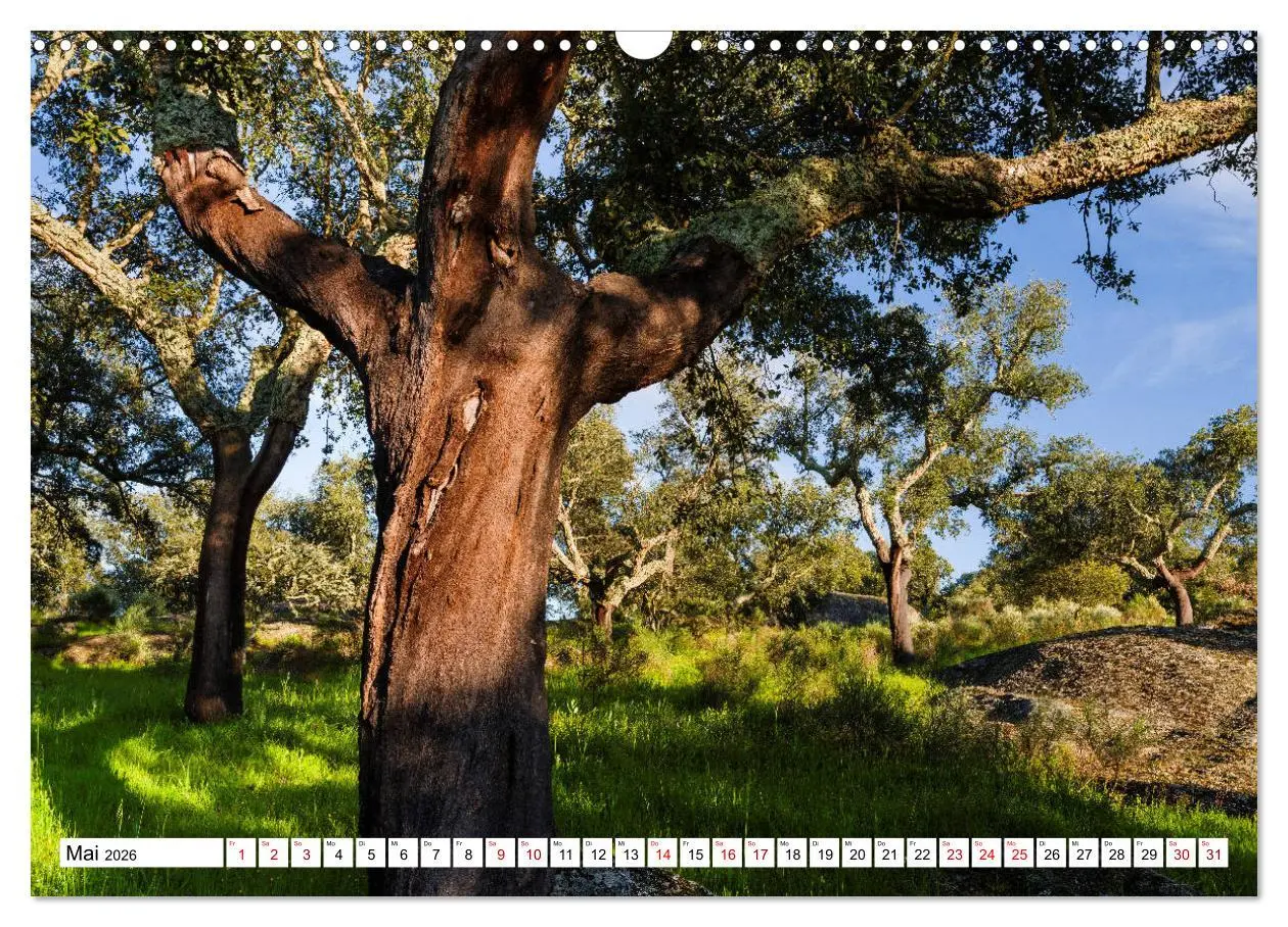 Bild: 9783457684764 | Alentejo - das romantische Portugal (Wandkalender 2026 DIN A3...