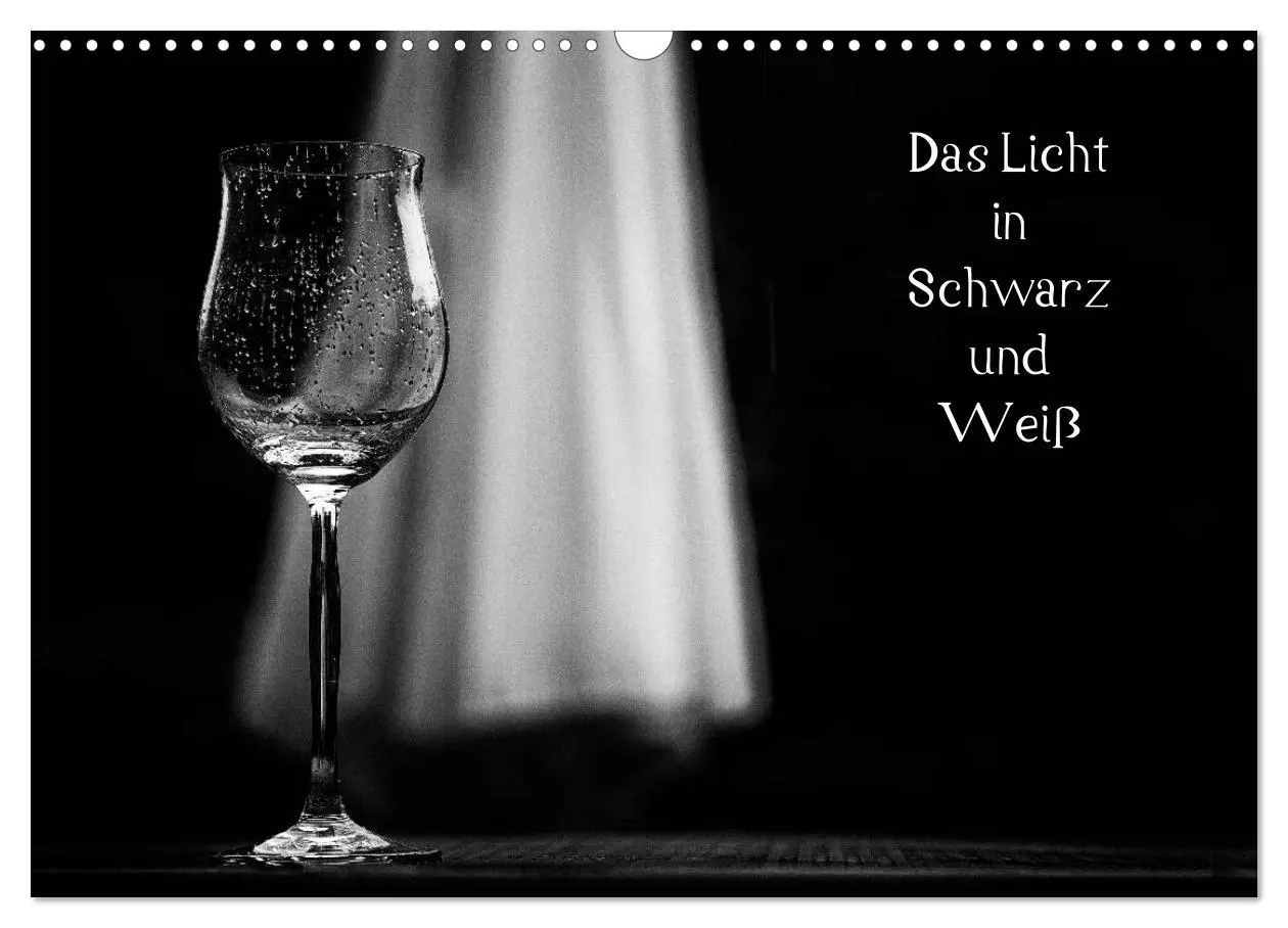 Cover: 9783516154764 | Das Licht in Schwarz und Weiß (Wandkalender 2026 DIN A3 quer),...