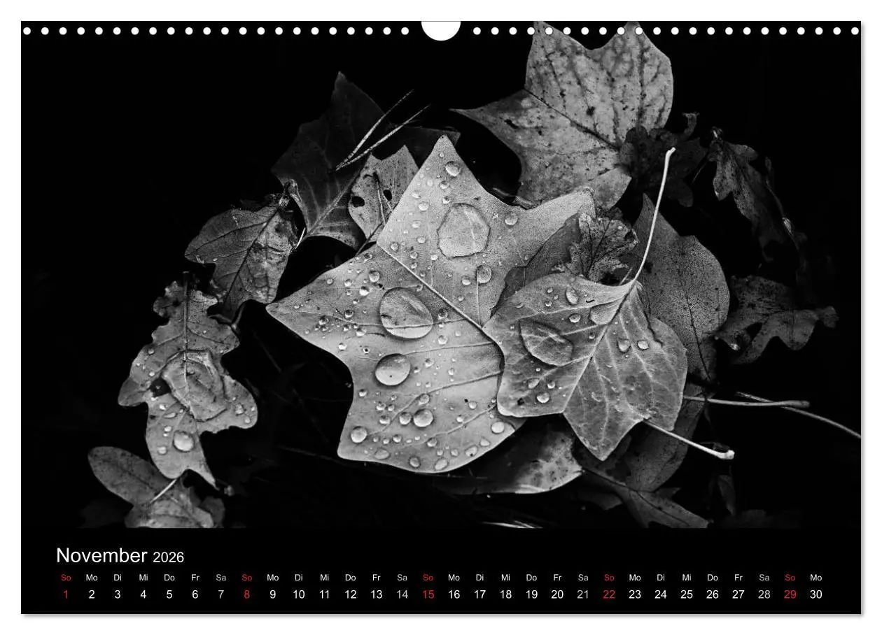 Bild: 9783516154764 | Das Licht in Schwarz und Weiß (Wandkalender 2026 DIN A3 quer),...