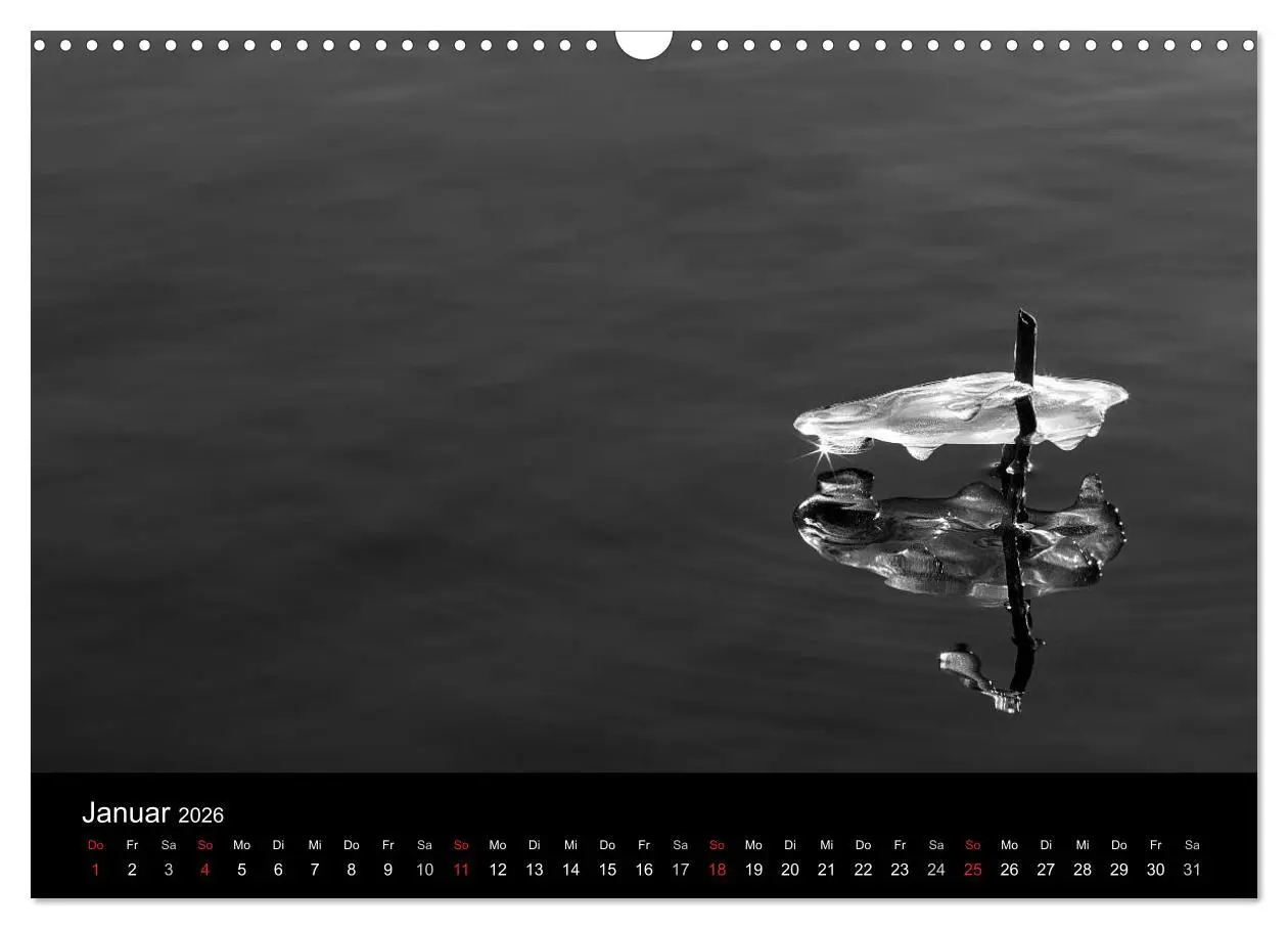 Bild: 9783516154764 | Das Licht in Schwarz und Weiß (Wandkalender 2026 DIN A3 quer),...