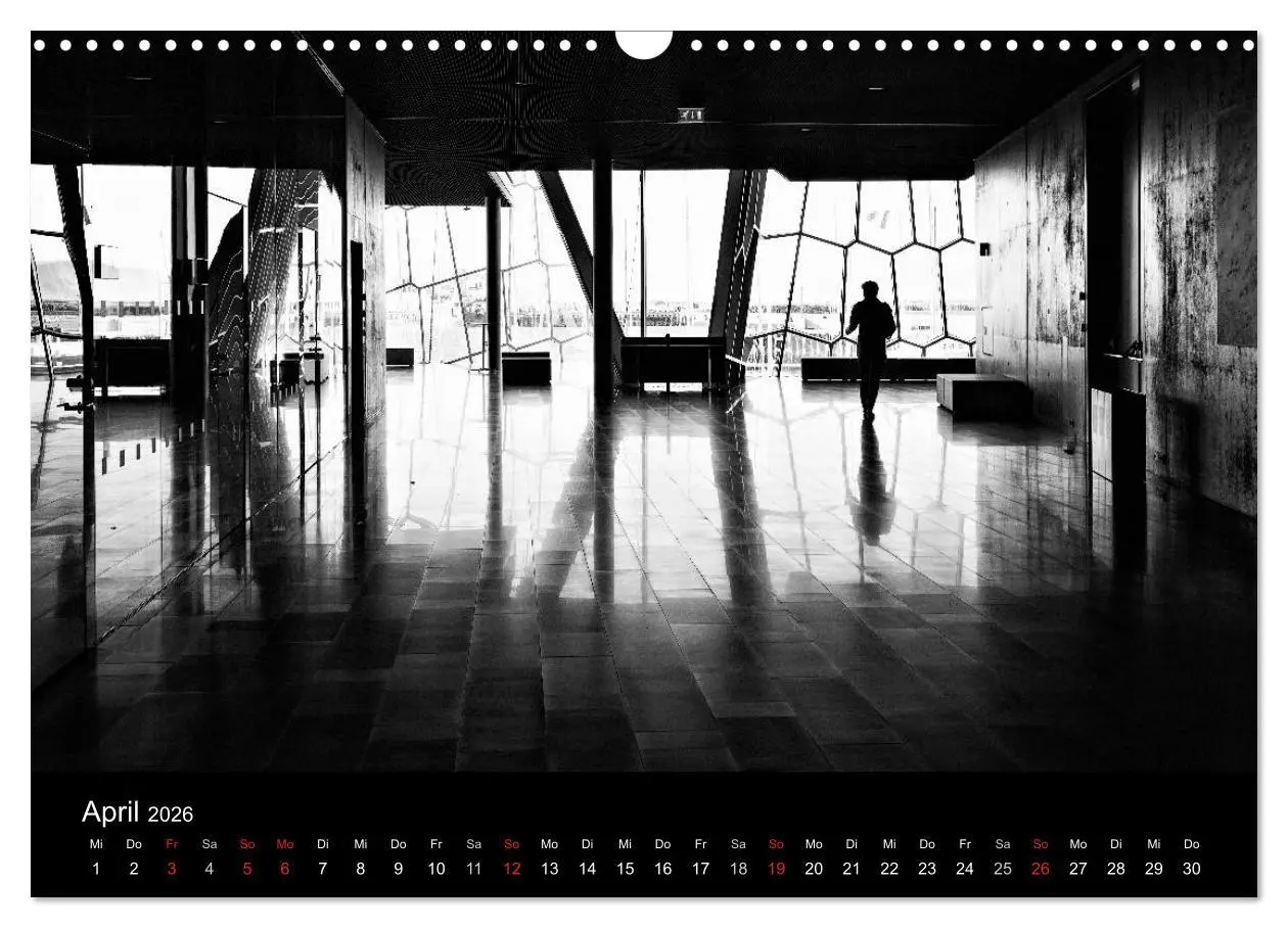 Bild: 9783516154764 | Das Licht in Schwarz und Weiß (Wandkalender 2026 DIN A3 quer),...