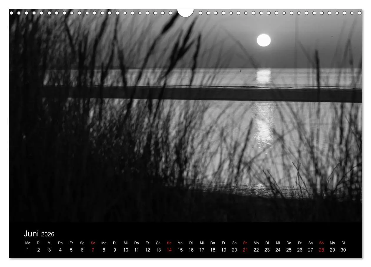 Bild: 9783516154764 | Das Licht in Schwarz und Weiß (Wandkalender 2026 DIN A3 quer),...