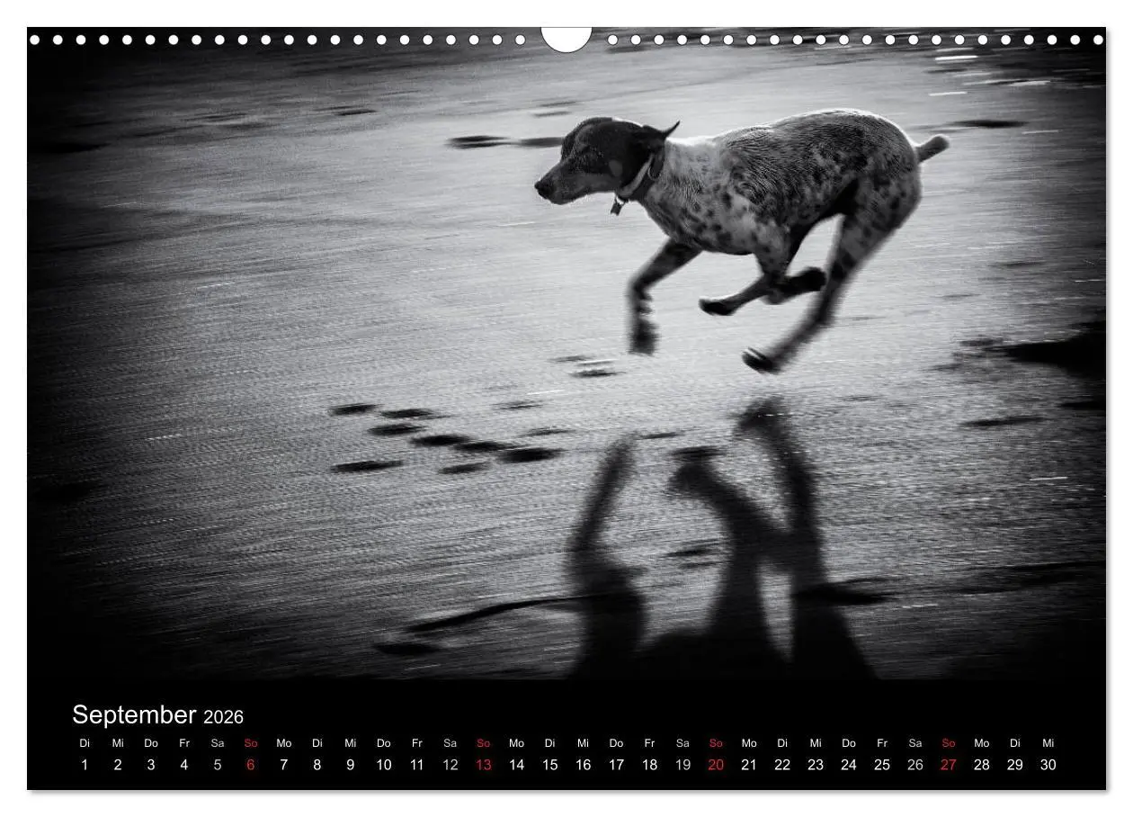 Bild: 9783516154764 | Das Licht in Schwarz und Weiß (Wandkalender 2026 DIN A3 quer),...
