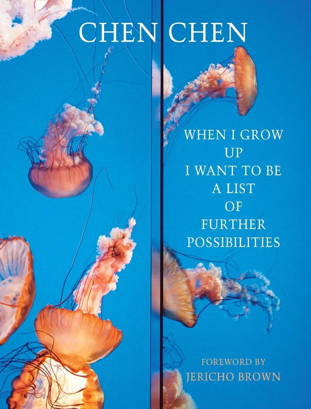 Cover: 9781780374864 | When I Grow Up I Want To Be A List of Further Possibilities | Chen