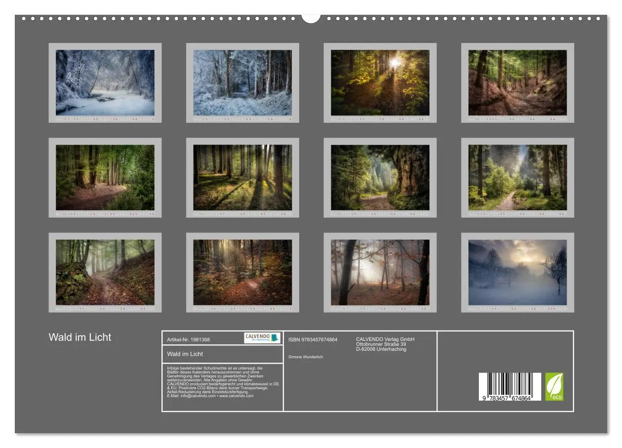 Bild: 9783457674864 | Wald im Licht (hochwertiger Premium Wandkalender 2026 DIN A2 quer),...