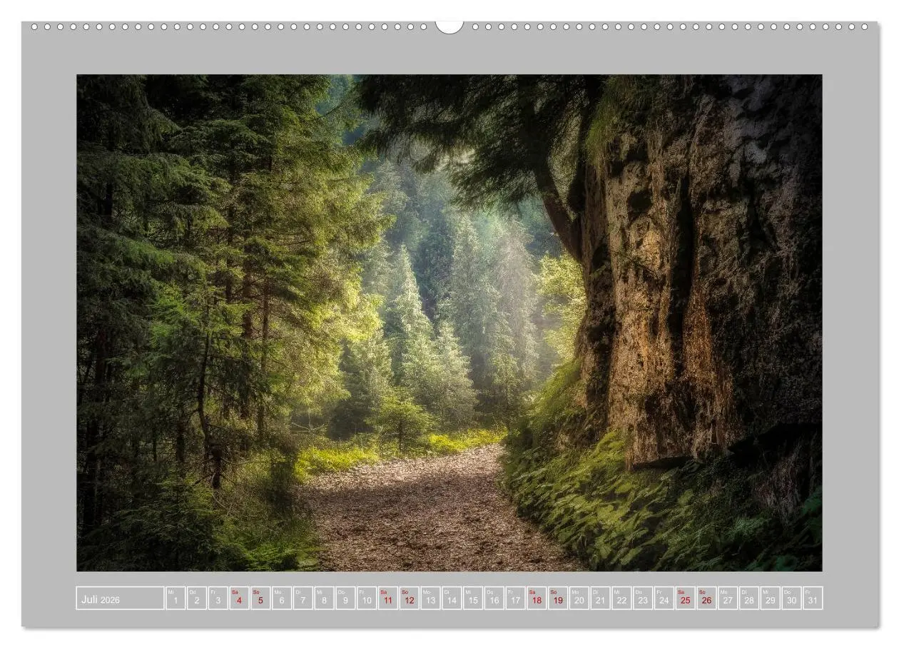 Bild: 9783457674864 | Wald im Licht (hochwertiger Premium Wandkalender 2026 DIN A2 quer),...