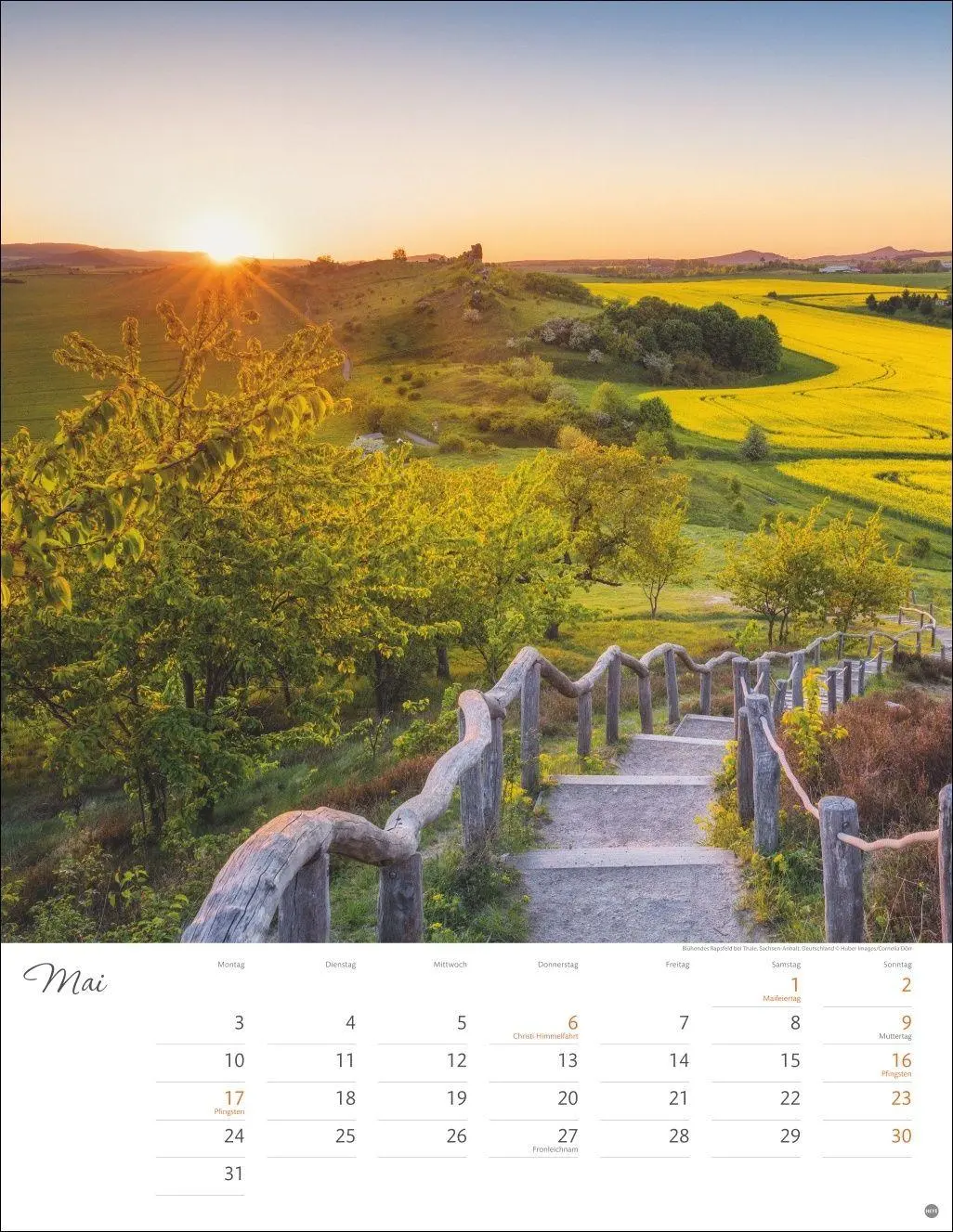 Bild: 9783756414864 | Wege zum Träumen Posterkalender 2027 | Heye | Kalender | Spiralbindung