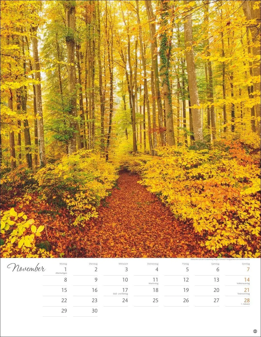 Bild: 9783756414864 | Wege zum Träumen Posterkalender 2027 | Heye | Kalender | Spiralbindung