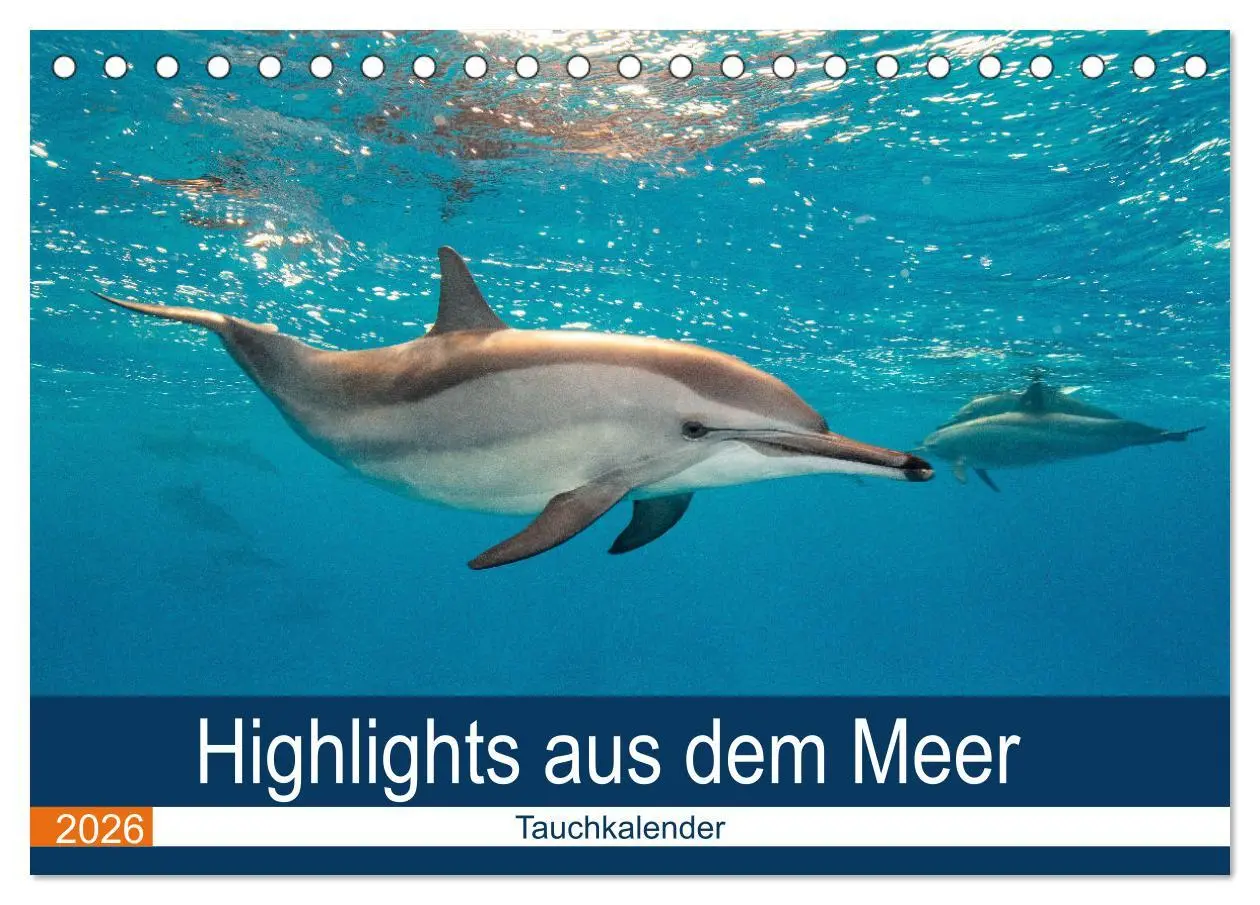 Cover: 9783516064964 | Highlights aus dem Meer - Tauchkalender (Tischkalender 2026 DIN A5...