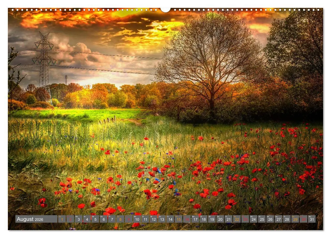Bild: 9783516204964 | Friesland, verzauberte Landschaft an der Nordsee (hochwertiger...