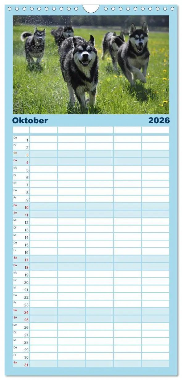 Bild: 9783516514964 | Familienplaner 2026 - Husky-Kalender mit 5 Spalten (Wandkalender,...