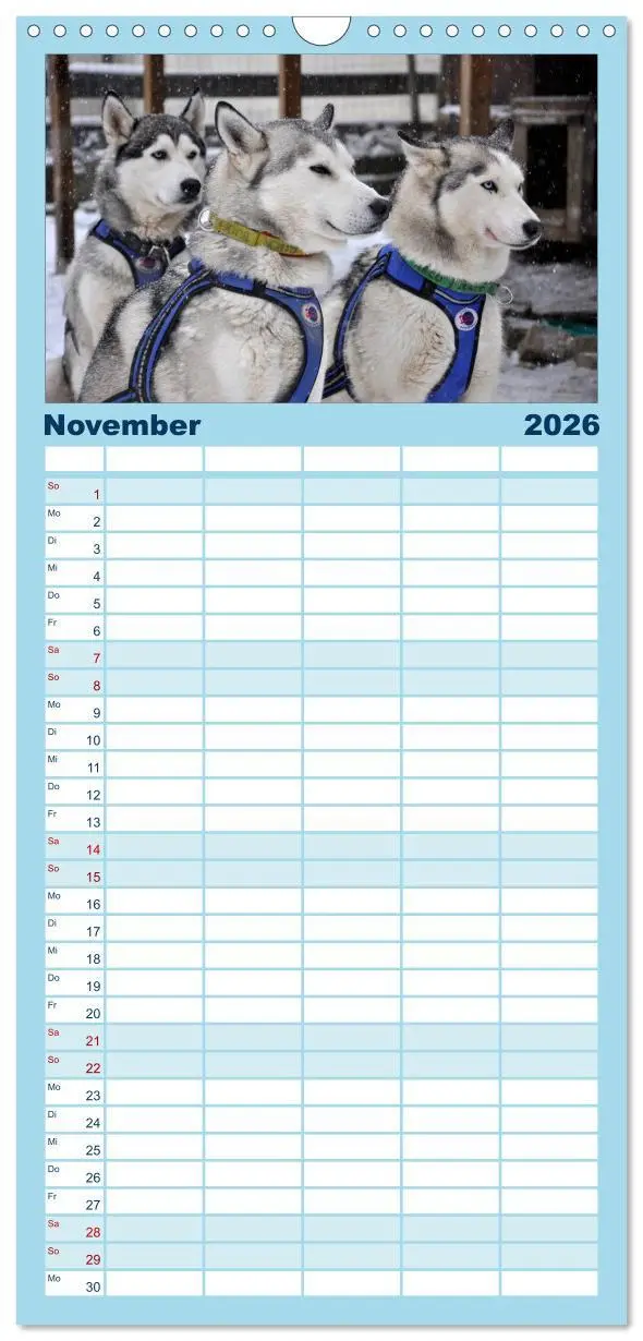Bild: 9783516514964 | Familienplaner 2026 - Husky-Kalender mit 5 Spalten (Wandkalender,...
