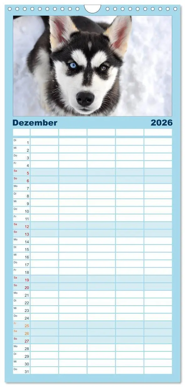 Bild: 9783516514964 | Familienplaner 2026 - Husky-Kalender mit 5 Spalten (Wandkalender,...