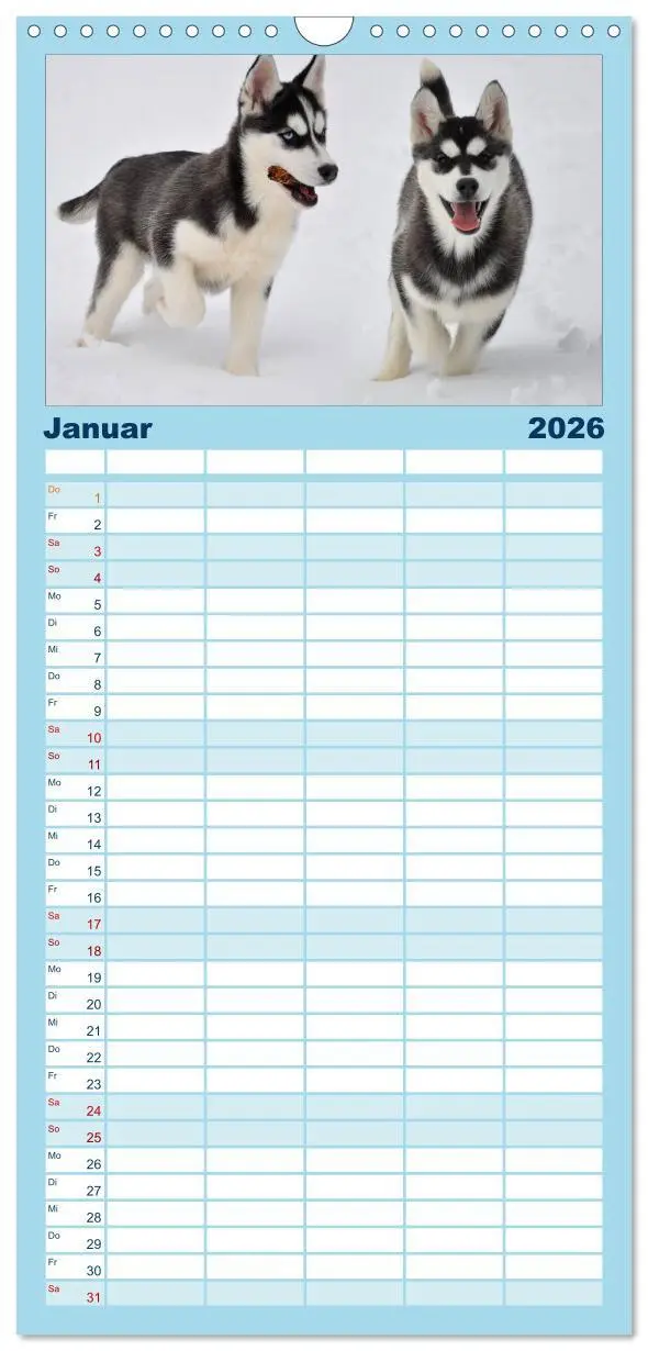 Bild: 9783516514964 | Familienplaner 2026 - Husky-Kalender mit 5 Spalten (Wandkalender,...