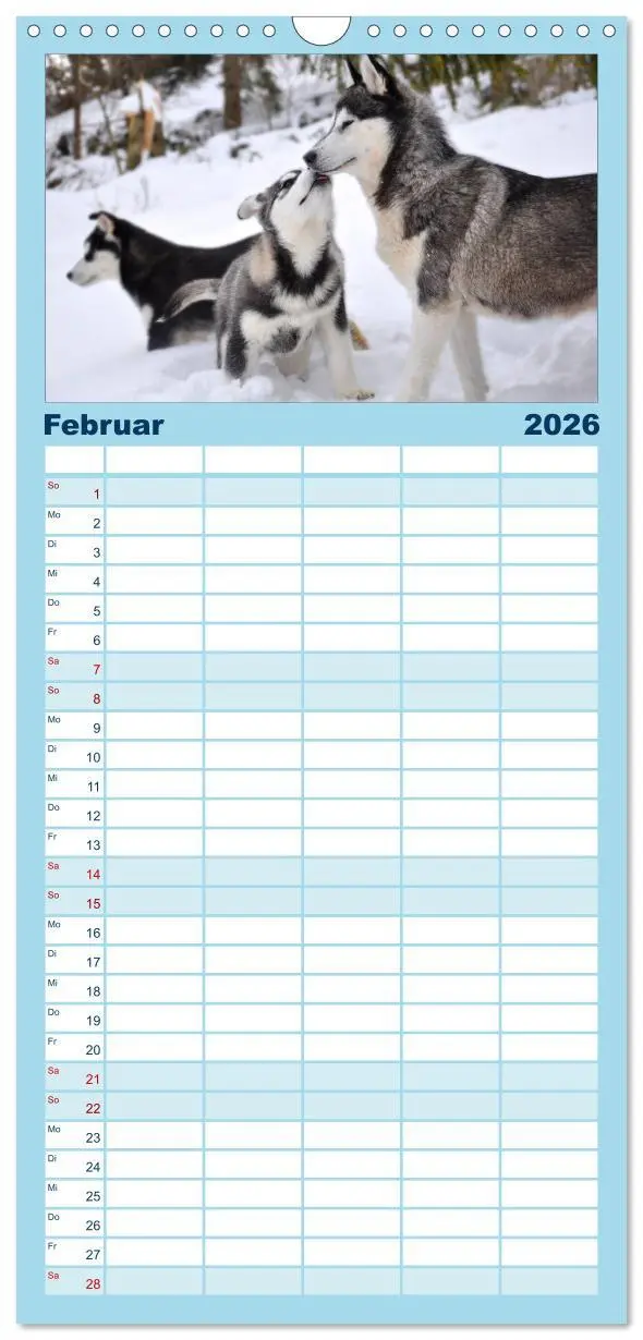 Bild: 9783516514964 | Familienplaner 2026 - Husky-Kalender mit 5 Spalten (Wandkalender,...