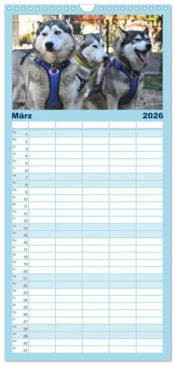 Bild: 9783516514964 | Familienplaner 2026 - Husky-Kalender mit 5 Spalten (Wandkalender,...