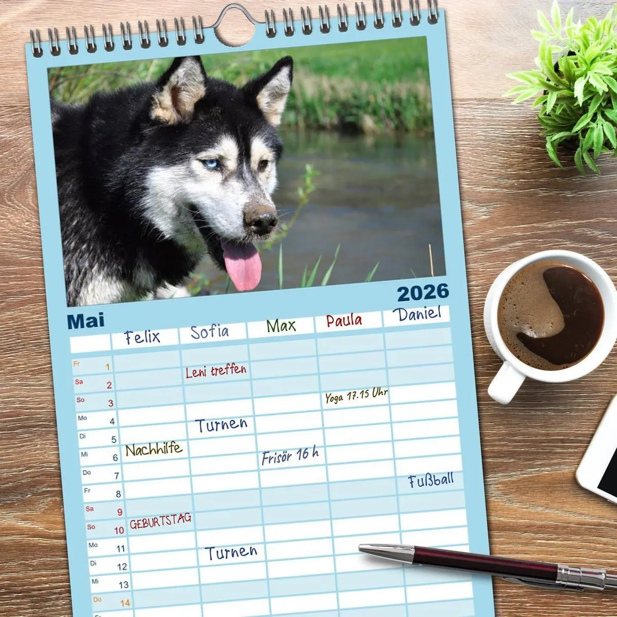 Bild: 9783516514964 | Familienplaner 2026 - Husky-Kalender mit 5 Spalten (Wandkalender,...
