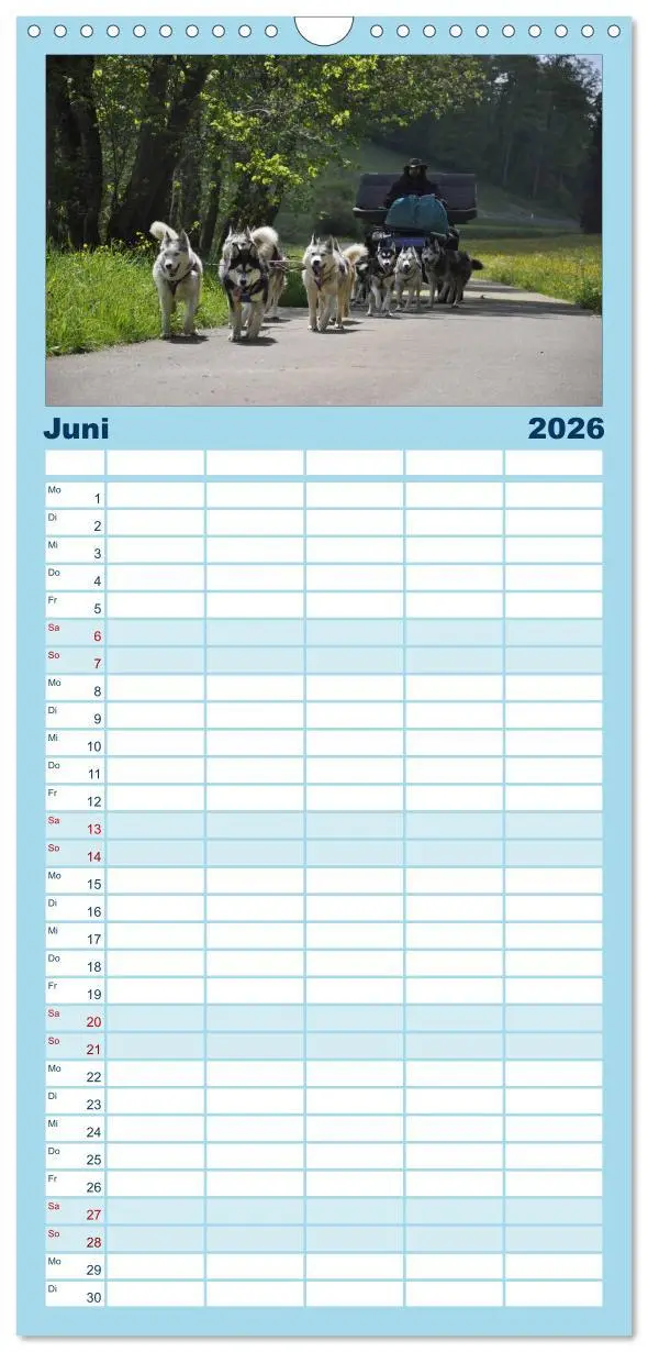 Bild: 9783516514964 | Familienplaner 2026 - Husky-Kalender mit 5 Spalten (Wandkalender,...