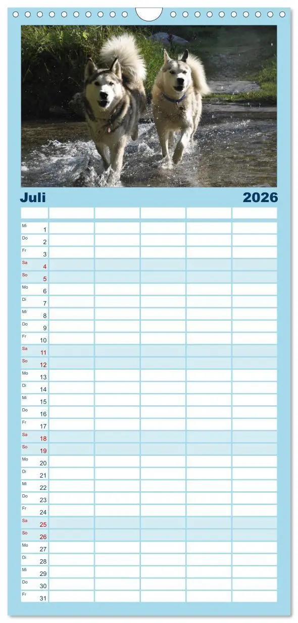 Bild: 9783516514964 | Familienplaner 2026 - Husky-Kalender mit 5 Spalten (Wandkalender,...