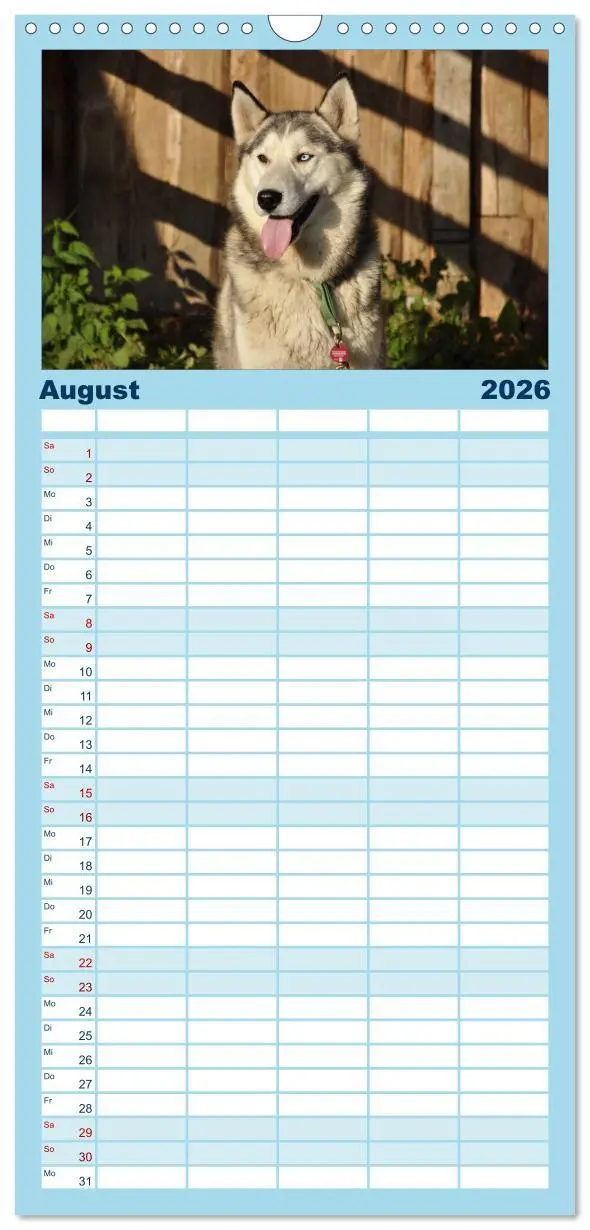 Bild: 9783516514964 | Familienplaner 2026 - Husky-Kalender mit 5 Spalten (Wandkalender,...