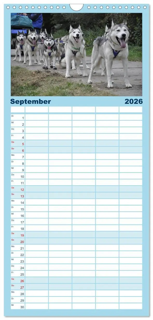 Bild: 9783516514964 | Familienplaner 2026 - Husky-Kalender mit 5 Spalten (Wandkalender,...