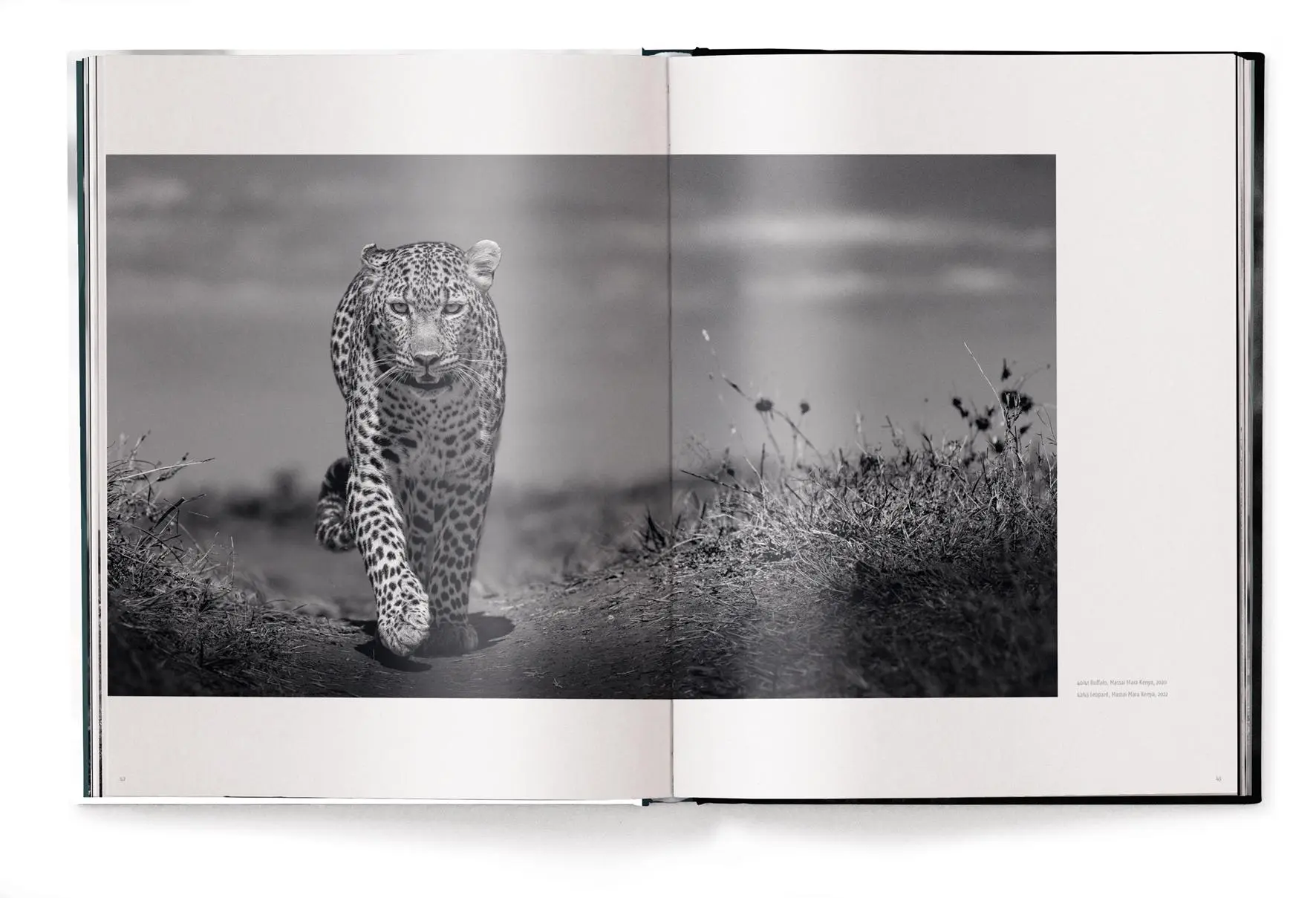 Bild: 9783961714964 | Beusker | Look into my Eyes | Lars Beusker | Buch | 224 S. | Deutsch