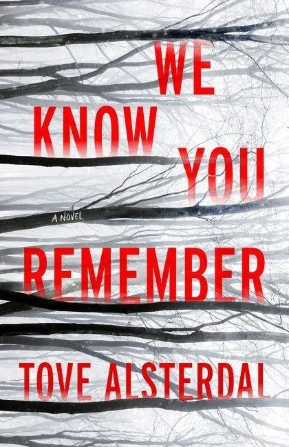 Cover: 9780063115064 | We Know You Remember | Tove Alsterdal | Buch | Gebunden | Englisch