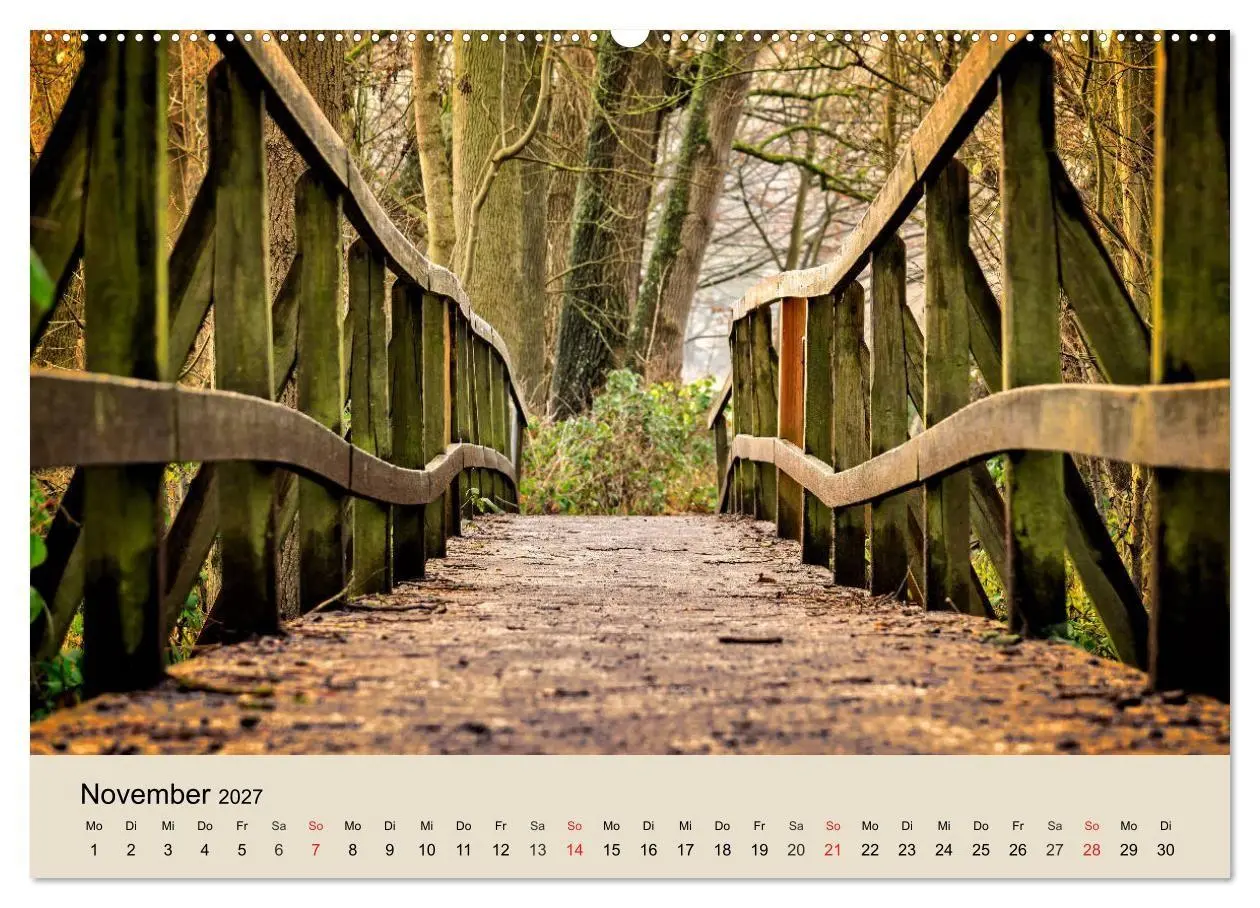 Bild: 9783569735064 | Der Wald. Durch zauberhafte Waldlandschaften (hochwertiger Premium...