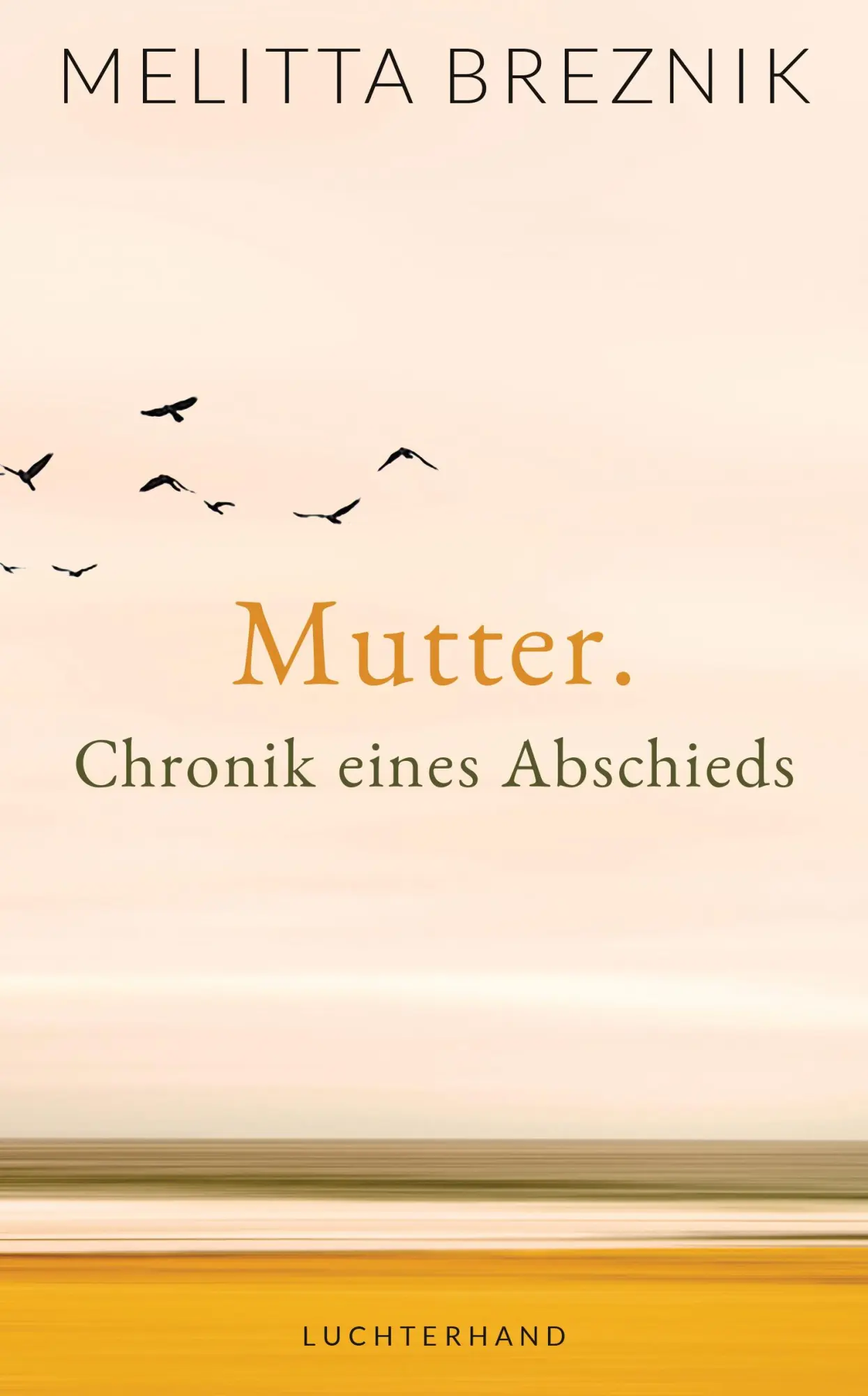 Cover: 9783630875064 | Mutter | Chronik eines Abschieds | Melitta Breznik | Buch | 160 S.