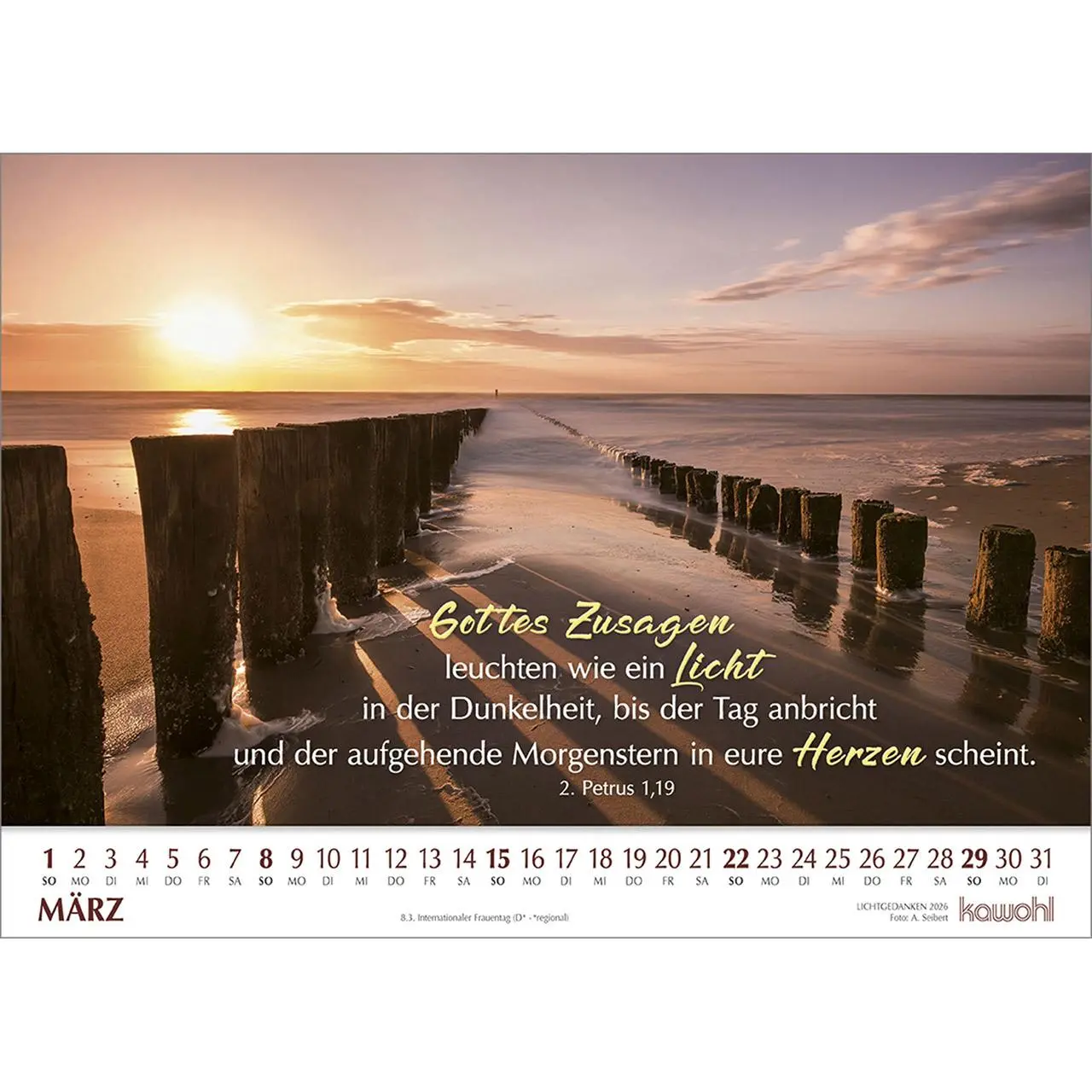 Bild: 9783754865064 | Lichtgedanken 2026 | Kalender | Spiralbindung | 14 S. | Deutsch | 2026