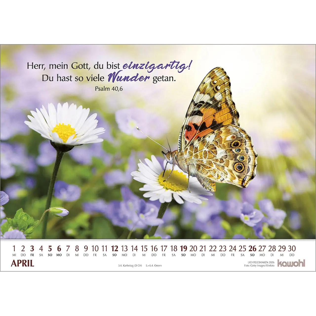 Bild: 9783754865064 | Lichtgedanken 2026 | Kalender | Spiralbindung | 14 S. | Deutsch | 2026