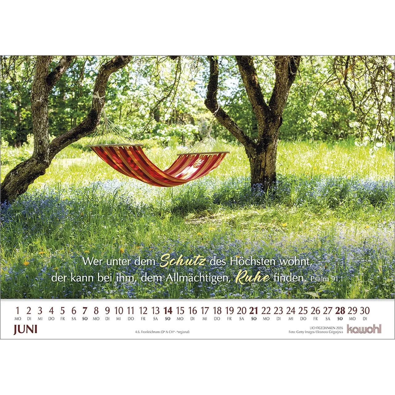 Bild: 9783754865064 | Lichtgedanken 2026 | Kalender | Spiralbindung | 14 S. | Deutsch | 2026