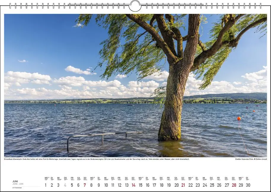 Bild: 9783861925064 | Wetterstimmungen am Bodensee 2026 | Stefan Arendt | Kalender | 13 S.