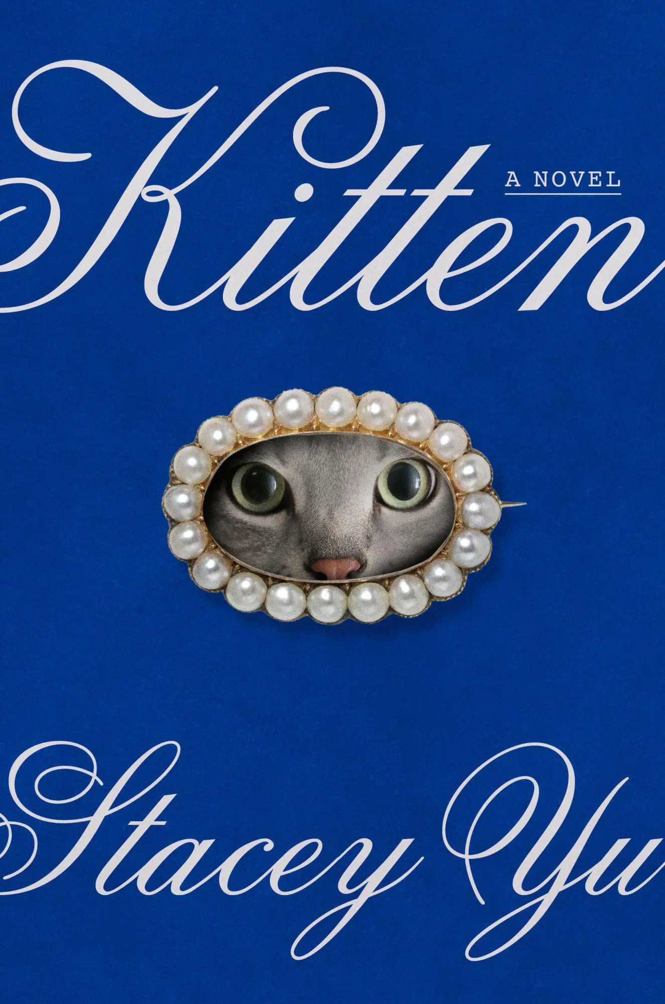 Random House Publishing Group Kitten