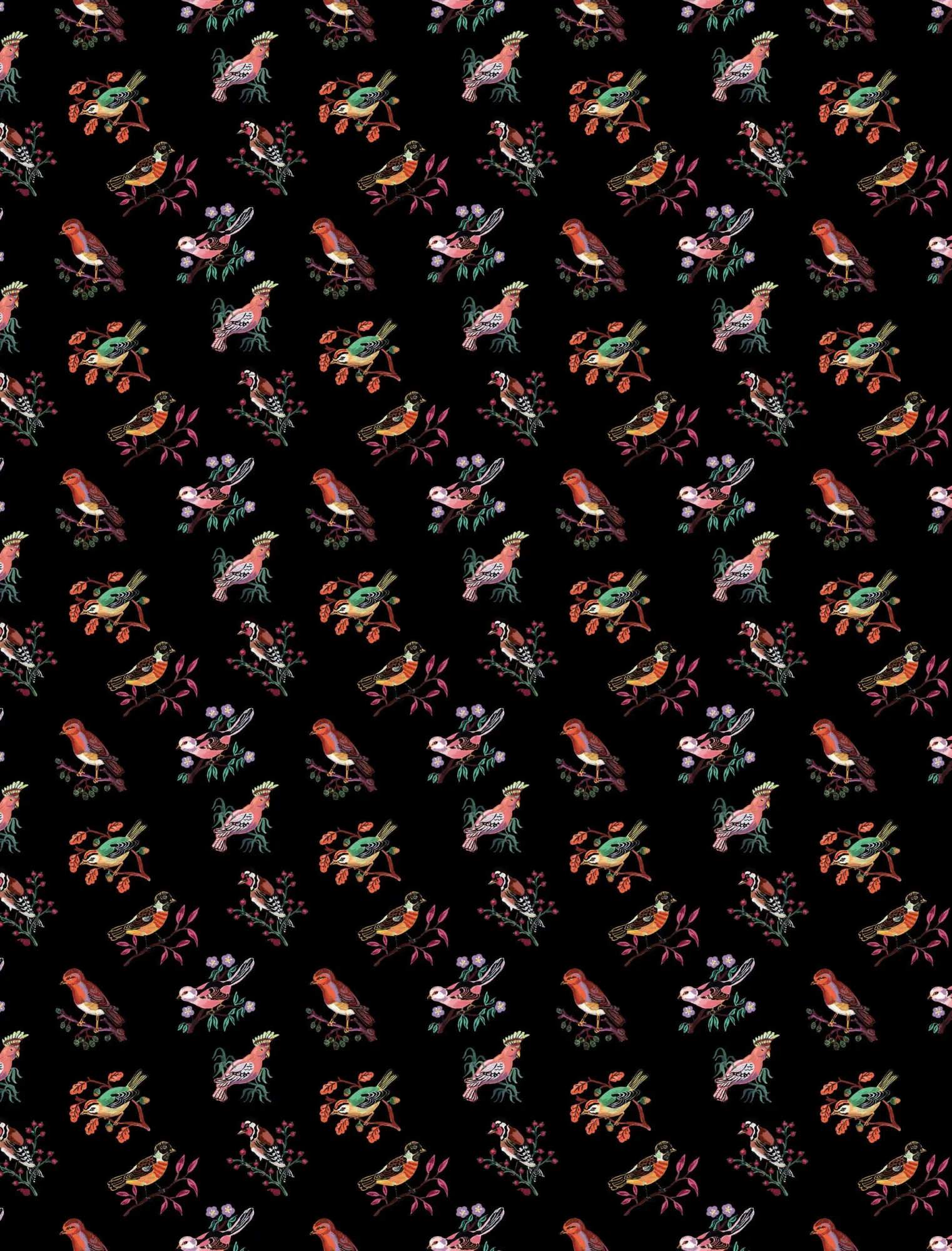 Bild: 9781648295164 | Nathalie Lété Wrapping Paper | Nathalie Lété | Taschenbuch | Englisch