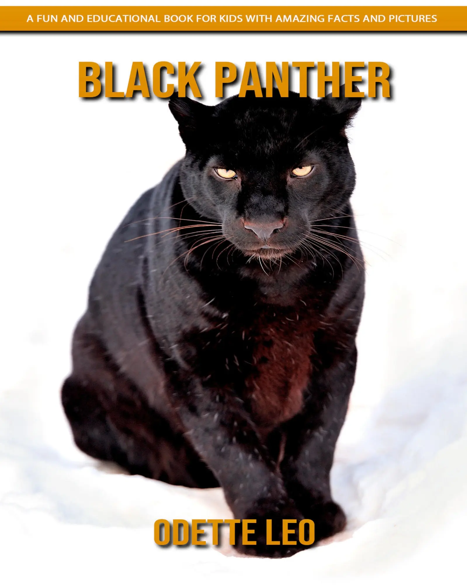 Cover: 9782960325164 | Black Panther | Odette Leo | Taschenbuch | Englisch | 2023