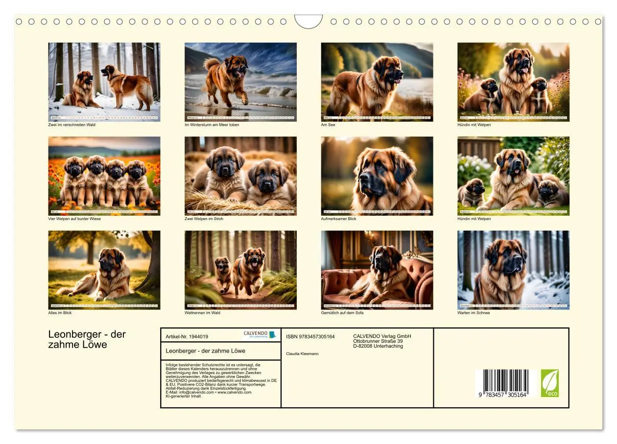Bild: 9783457305164 | Leonberger - der zahme Löwe (Wandkalender 2026 DIN A3 quer),...